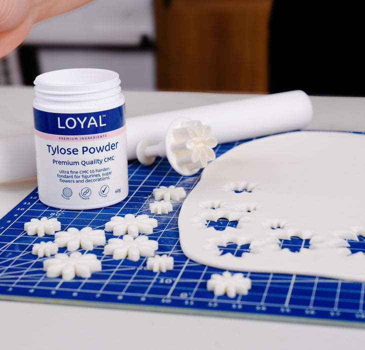 Tylose Powder (LOYAL) 60g