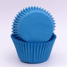 Cupcake Case BLUE 700